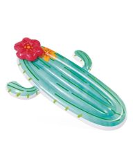 Intex Cactus Float