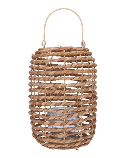 Lantern Natural Cattail 22X31C