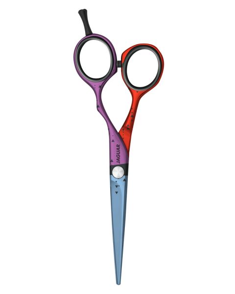 Jaguar Jaguart Focus On 5.5 (U)