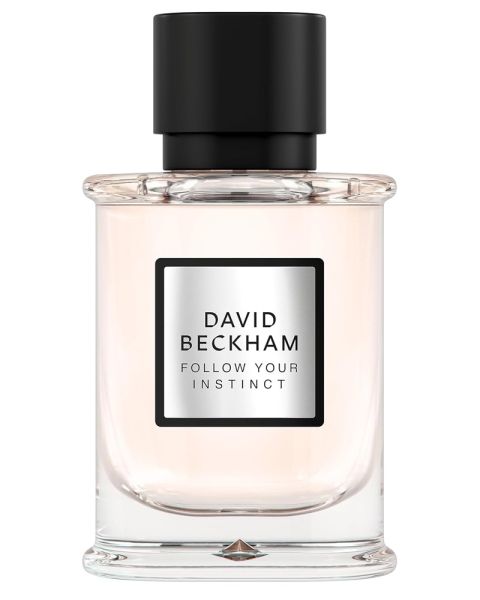 David Beckham Follow Your Instinct EDP David Beckham Follow Your Instinct EDP
