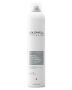 Goldwell Styledesign Big Finish Hairspray 4 500 ml