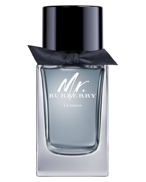 Burberry Mr Burberry Indigo EDT 100ml